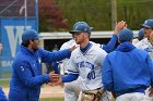 Baseball vs Babson  Wheaton College Baseball vs Babson during NEWMAC Championship Tournament. - (Photo by Keith Nordstrom) : Wheaton, baseball, NEWMAC